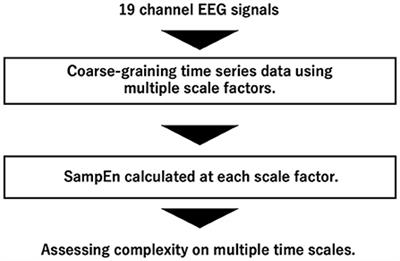 Enhanced temporal complexity of EEG signals in older individuals with high cognitive functions